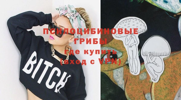 прущие грибы Алзамай