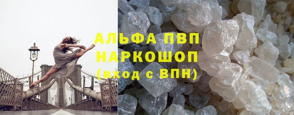 прущие грибы Алзамай