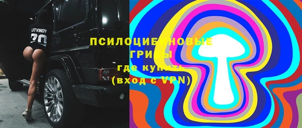 прущие грибы Алзамай