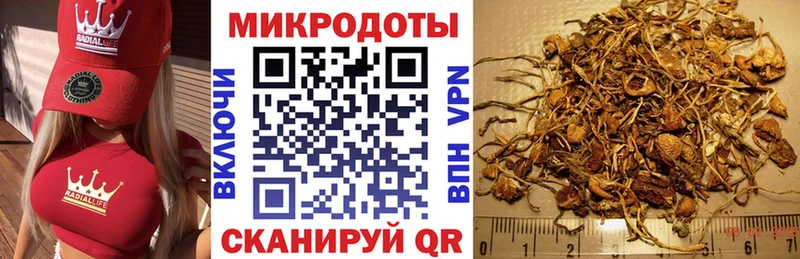 продажа наркотиков  Томск  Псилоцибиновые грибы Psilocybine cubensis 