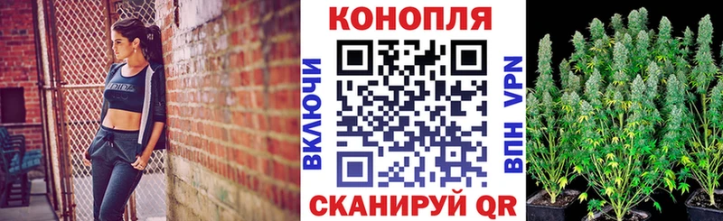 дарк нет состав  Томск  Бошки марихуана индика 